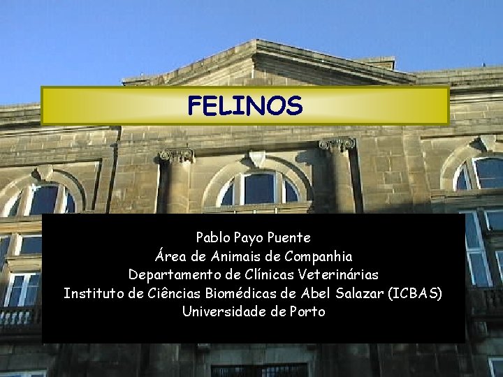 FELINOS Pablo Payo Puente Área de Animais de Companhia Departamento de Clínicas Veterinárias Instituto