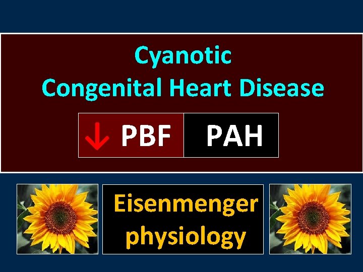 Cyanotic Congenital Heart Disease ↓ PBF PAH Eisenmenger physiology 