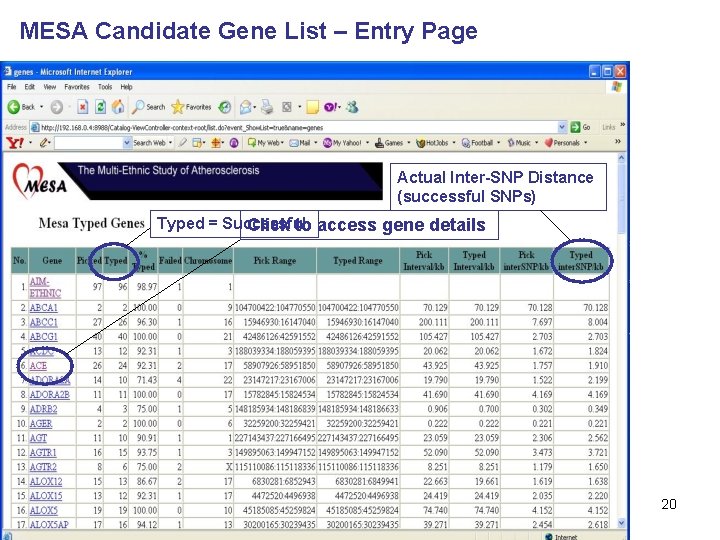 MESA Candidate Gene List – Entry Page Actual Inter-SNP Distance (successful SNPs) Typed = MESA Candidate Gene List – Entry Page Actual Inter-SNP Distance (successful SNPs) Typed =