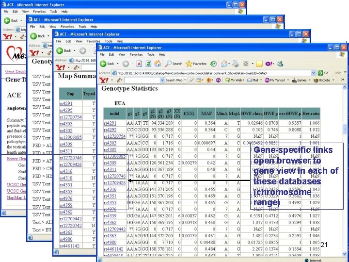 Links to Page Detail: 1. Map Summary 2. Genotype Data (download) 3. Genotype Stats Links to Page Detail: 1. Map Summary 2. Genotype Data (download) 3. Genotype Stats