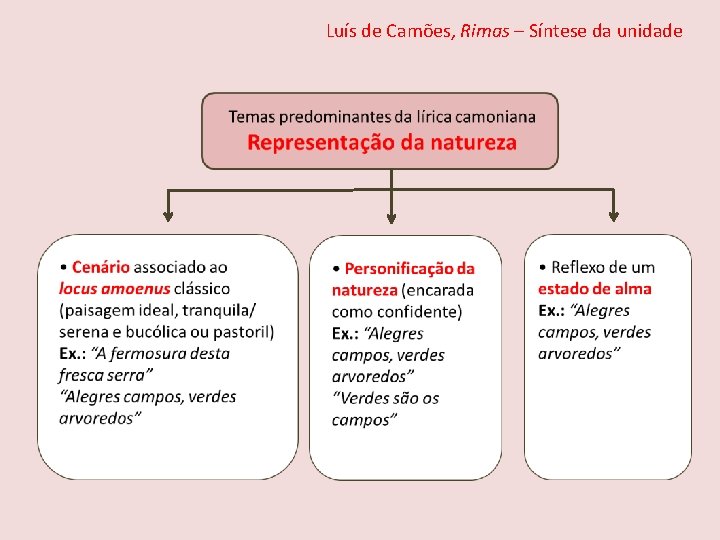 Luís de Camões, Rimas – Síntese da unidade 