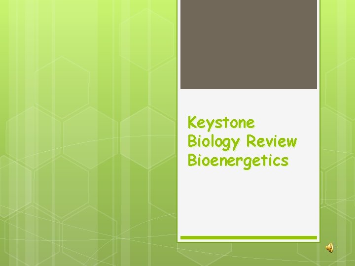 Keystone Biology Review Bioenergetics 