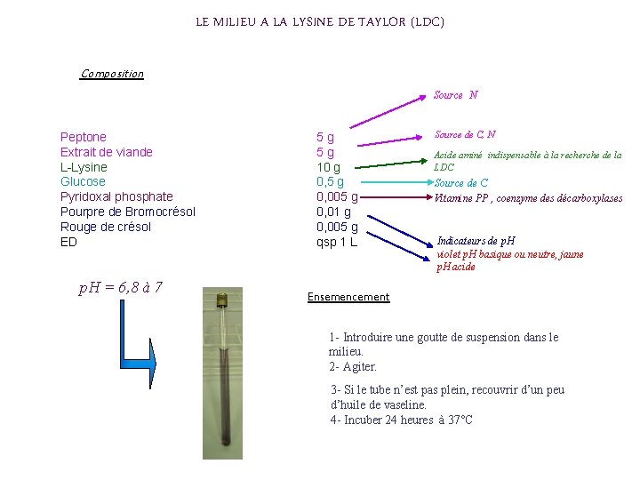 LE MILIEU A LA LYSINE DE TAYLOR (LDC) Composition Source N Peptone Extrait de