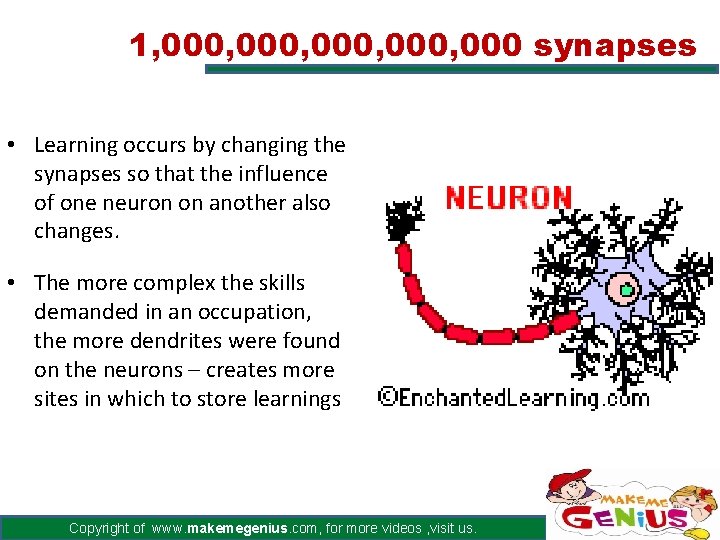 1, 000, 000 synapses • Learning occurs by changing the synapses so that the