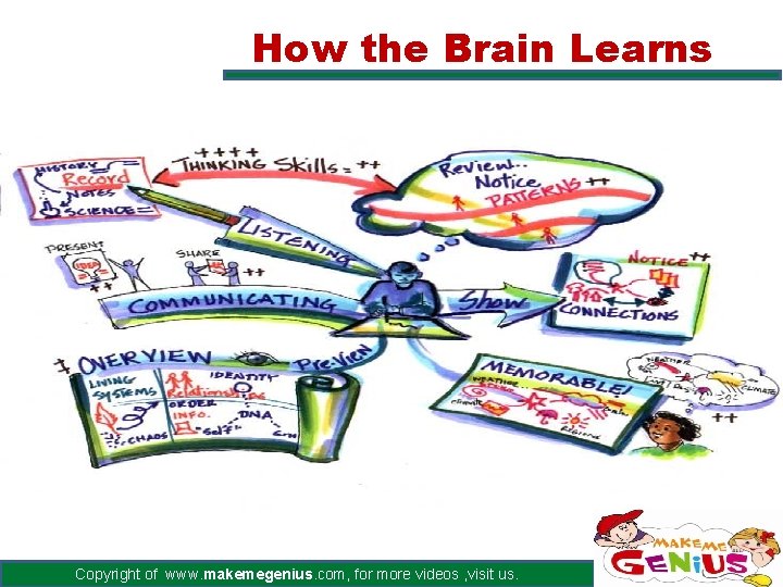 How the Brain Learns Copyright of www. makemegenius. com, for more videos , visit