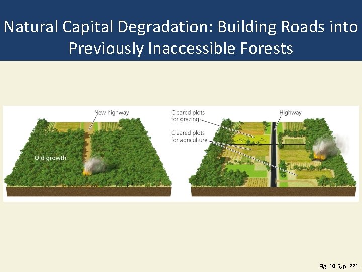 Natural Capital Degradation: Building Roads into Previously Inaccessible Forests Fig. 10 -5, p. 221