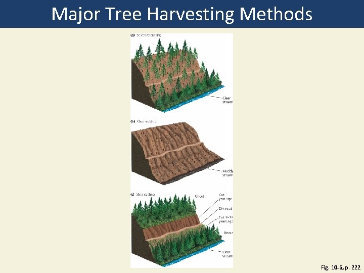 Major Tree Harvesting Methods Fig. 10 -6, p. 222 