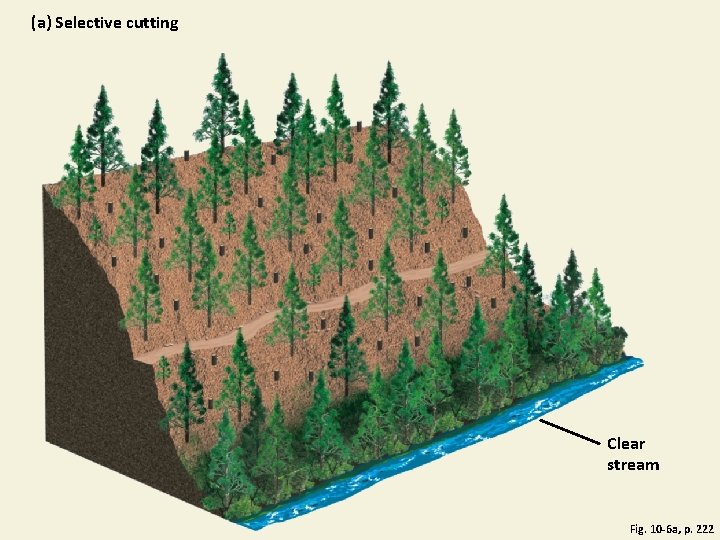 (a) Selective cutting Clear stream Fig. 10 -6 a, p. 222 