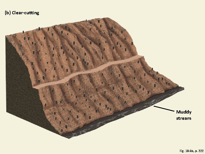 (b) Clear-cutting Muddy stream Fig. 10 -6 b, p. 222 