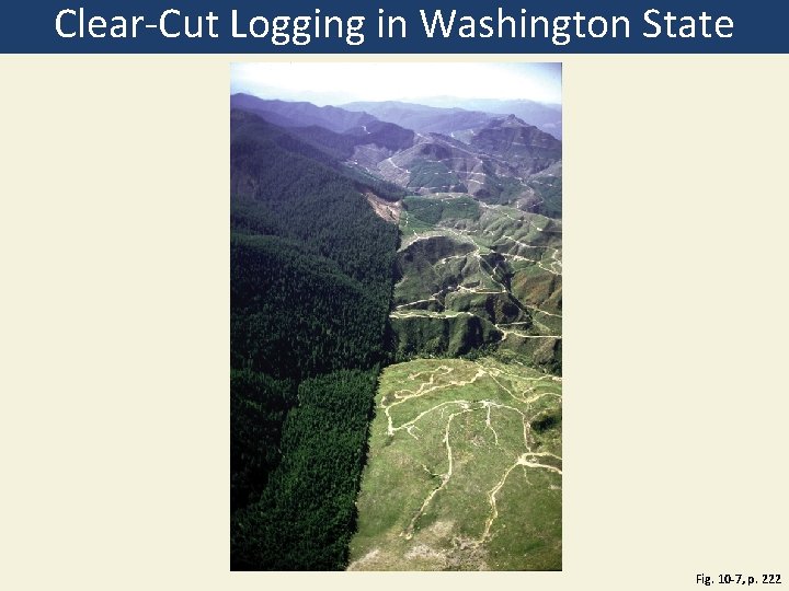 Clear-Cut Logging in Washington State Fig. 10 -7, p. 222 