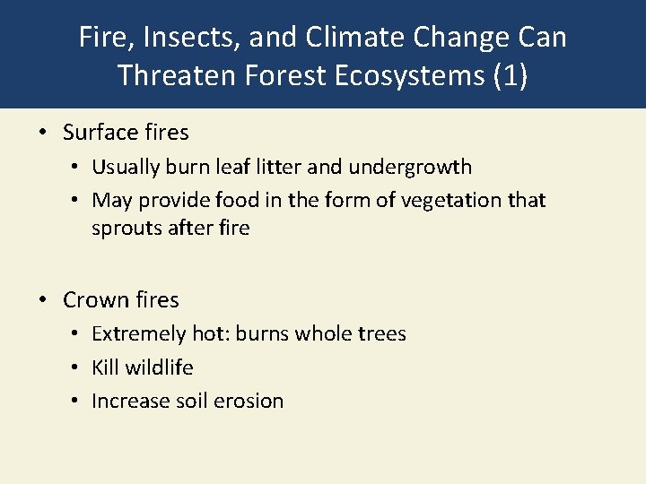 Fire, Insects, and Climate Change Can Threaten Forest Ecosystems (1) • Surface fires •