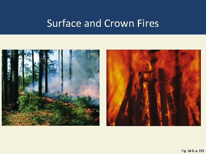 Surface and Crown Fires Fig. 10 -9, p. 223 