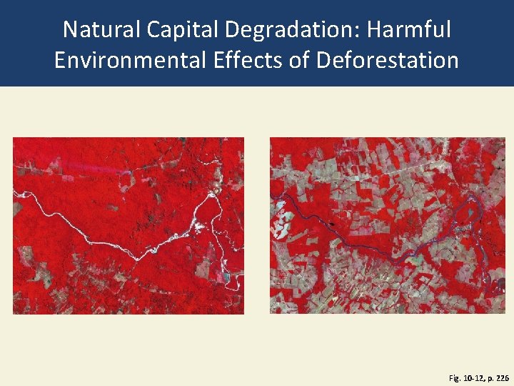 Natural Capital Degradation: Harmful Environmental Effects of Deforestation Fig. 10 -12, p. 226 