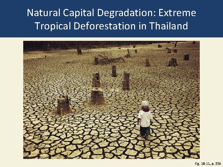 Natural Capital Degradation: Extreme Tropical Deforestation in Thailand Fig. 10 -11, p. 226 