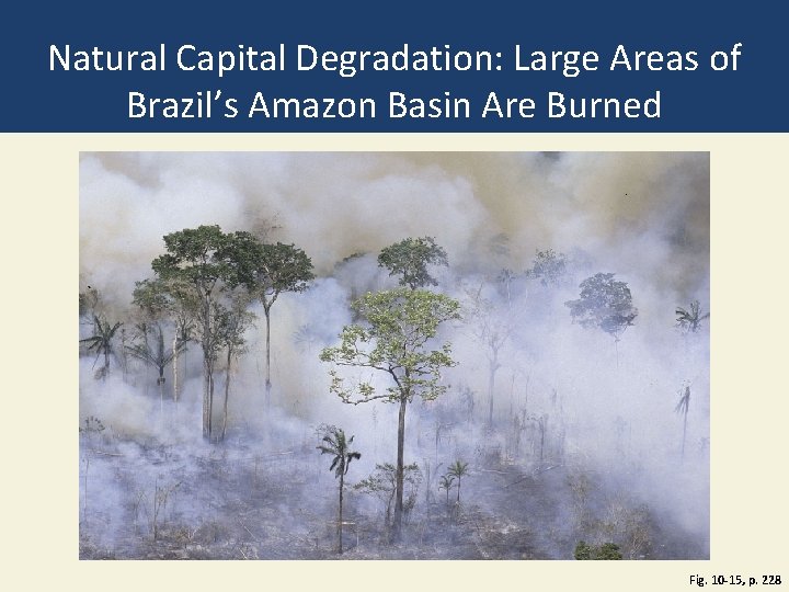 Natural Capital Degradation: Large Areas of Brazil’s Amazon Basin Are Burned Fig. 10 -15,