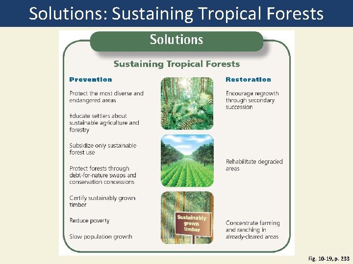 Solutions: Sustaining Tropical Forests Fig. 10 -19, p. 233 