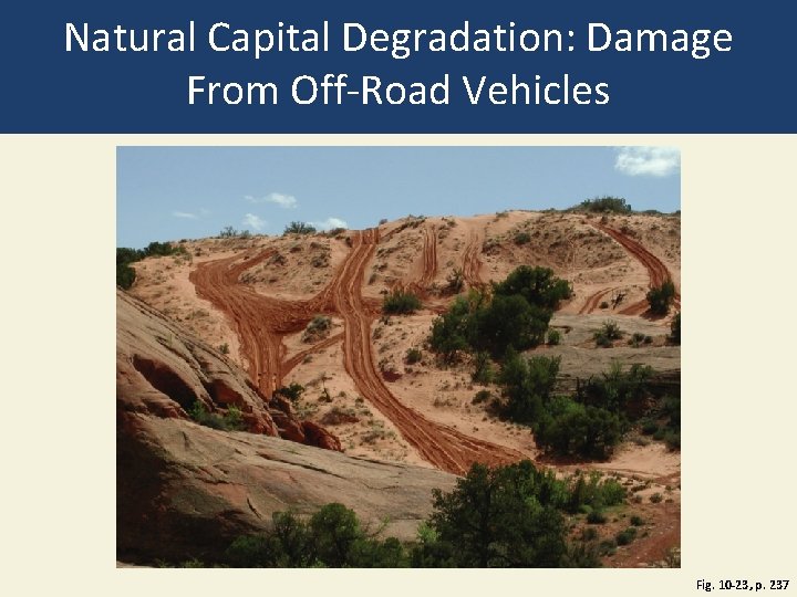 Natural Capital Degradation: Damage From Off-Road Vehicles Fig. 10 -23, p. 237 