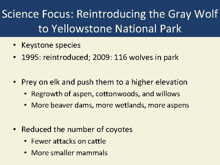 Science Focus: Reintroducing the Gray Wolf to Yellowstone National Park • Keystone species •