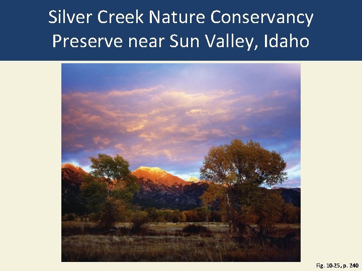 Silver Creek Nature Conservancy Preserve near Sun Valley, Idaho Fig. 10 -25, p. 240