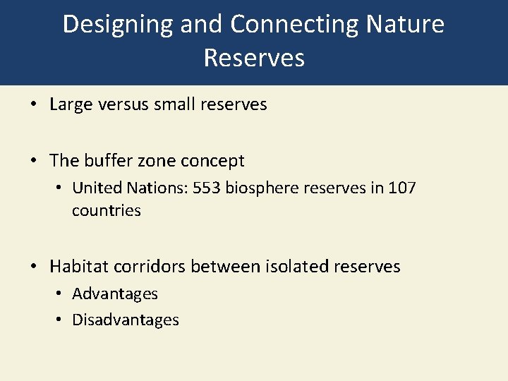 Designing and Connecting Nature Reserves • Large versus small reserves • The buffer zone