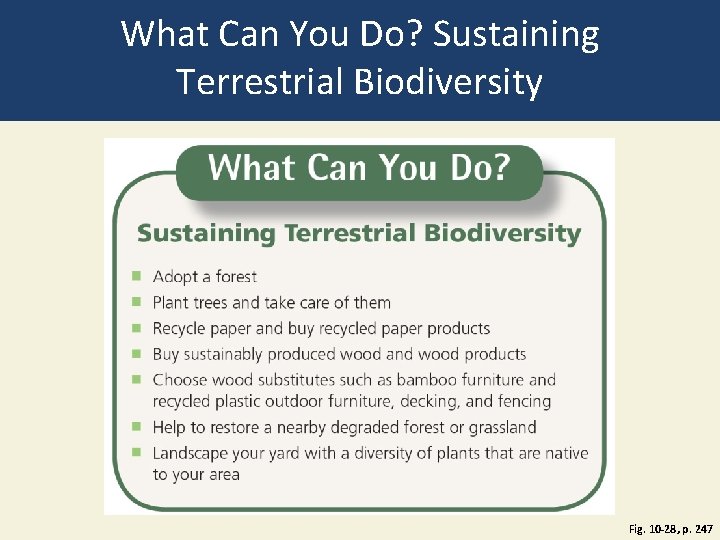 What Can You Do? Sustaining Terrestrial Biodiversity Fig. 10 -28, p. 247 