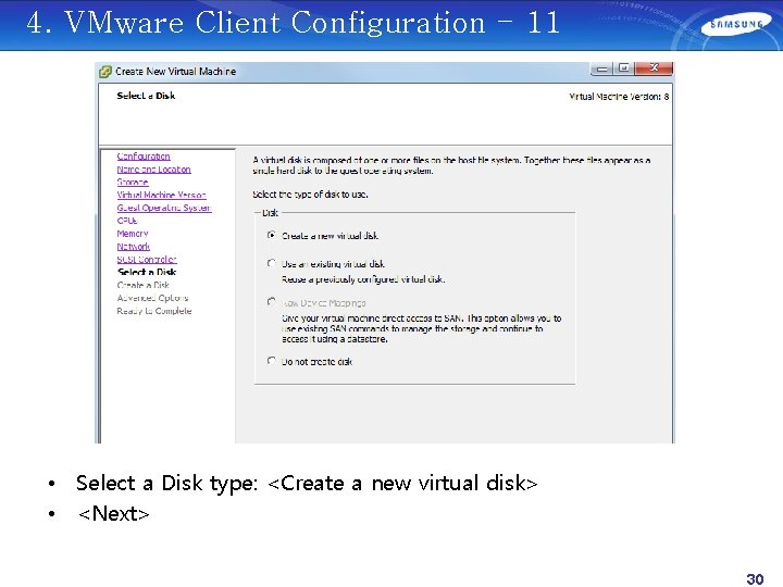 4. VMware Client Configuration - 11 • Select a Disk type: <Create a new
