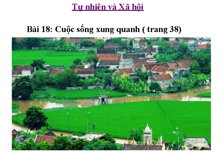 Tự nhiên và Xã hội Bài 18: Cuộc sống xung quanh ( trang 38)