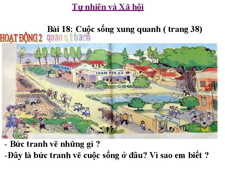 Tự nhiên và Xã hội Bài 18: Cuộc sống xung quanh ( trang 38)