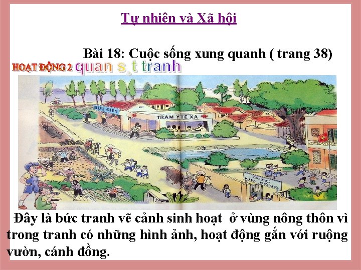 Tự nhiên và Xã hội Bài 18: Cuộc sống xung quanh ( trang 38)