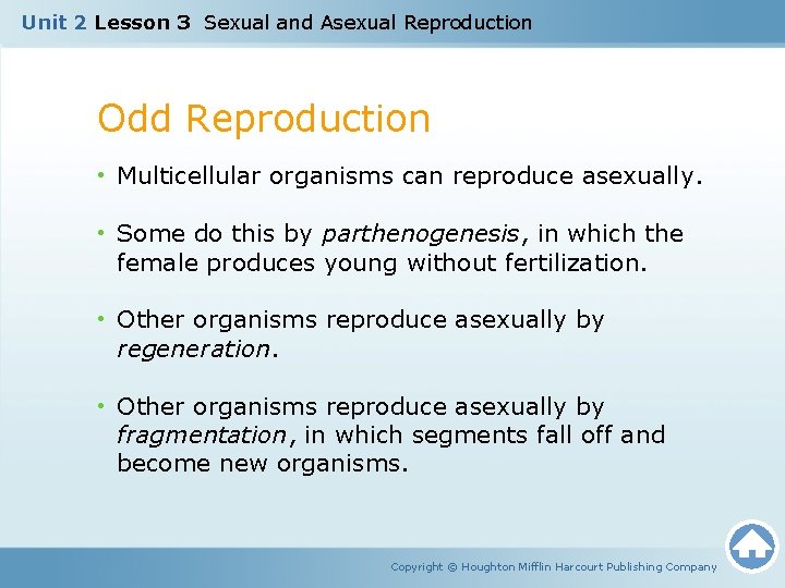 Unit 2 Lesson 3 Sexual and Asexual Reproduction Odd Reproduction • Multicellular organisms can