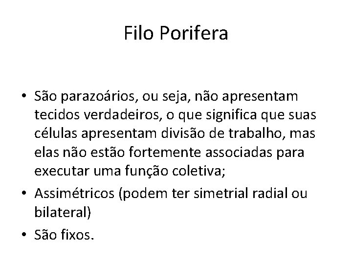 Filo Porifera • São parazoários, ou seja, não apresentam tecidos verdadeiros, o que significa