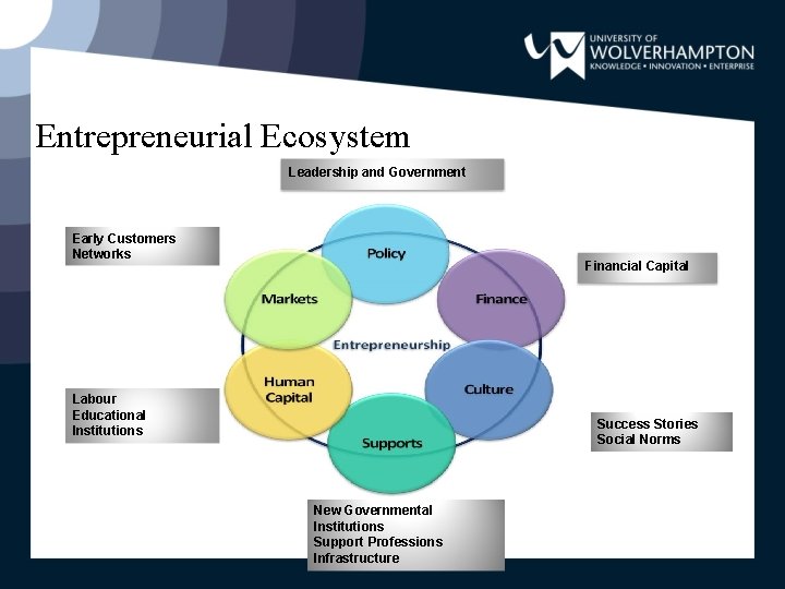 Entrepreneurial Ecosystem Leadership and Government Early Customers Networks Financial Capital Labour Educational Institutions Success