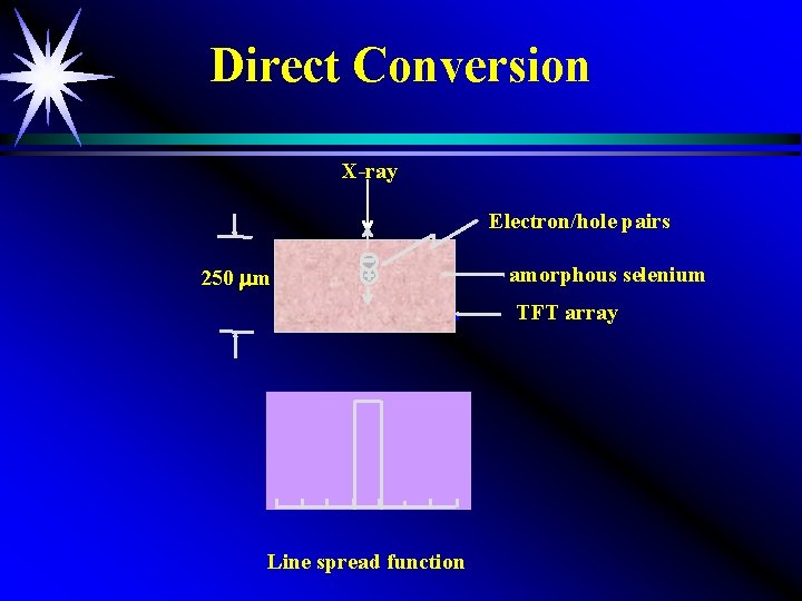 Direct Conversion X-ray Electron/hole pairs 250 m amorphous selenium TFT array Line spread function