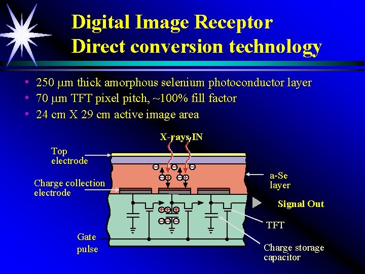Digital Image Receptor Direct conversion technology h h h 250 mm thick amorphous selenium