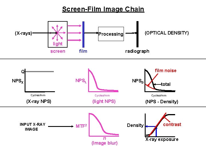Screen-Film Image Chain (X-rays) (OPTICAL DENSITY) Processing light screen film radiograph film noise Q