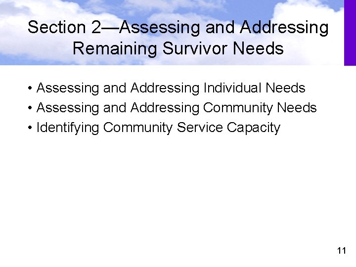 Section 2—Assessing and Addressing Remaining Survivor Needs • Assessing and Addressing Individual Needs •