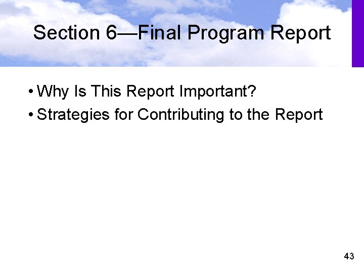 Section 6—Final Program Report • Why Is This Report Important? • Strategies for Contributing