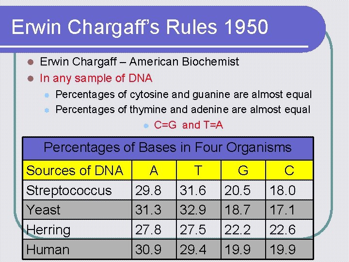 Erwin Chargaff’s Rules 1950 Erwin Chargaff – American Biochemist l In any sample of