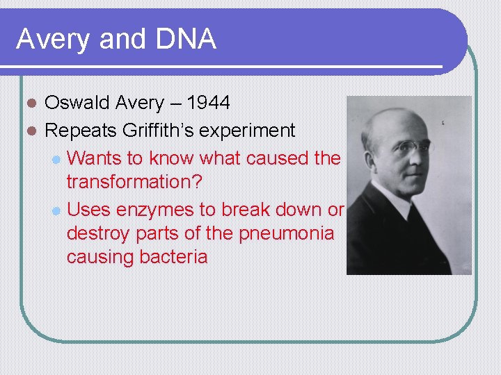 Avery and DNA Oswald Avery – 1944 l Repeats Griffith’s experiment l Wants to