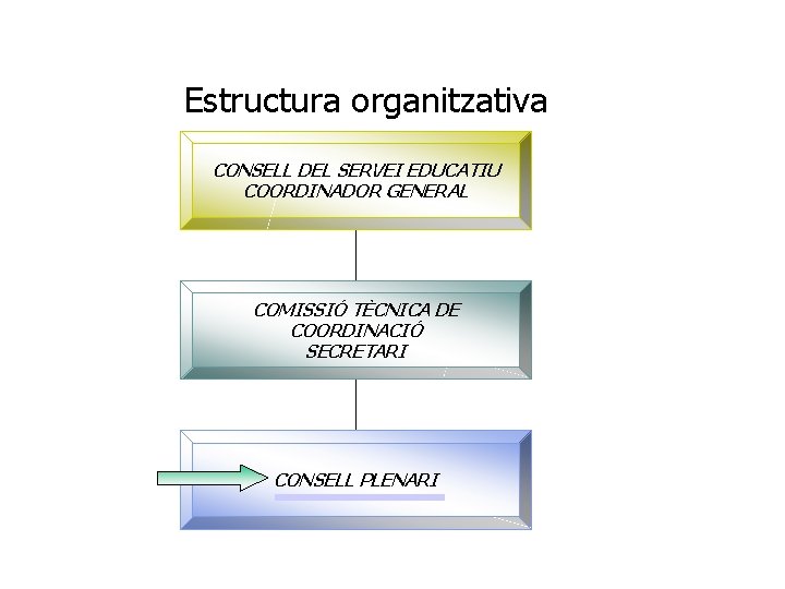 Estructura organitzativa CONSELL DEL SERVEI EDUCATIU COORDINADOR GENERAL COMISSIÓ TÈCNICA DE COORDINACIÓ SECRETARI CONSELL