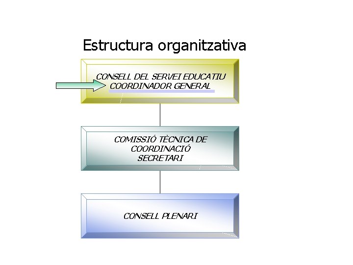 Estructura organitzativa CONSELL DEL SERVEI EDUCATIU COORDINADOR GENERAL COMISSIÓ TÈCNICA DE COORDINACIÓ SECRETARI CONSELL