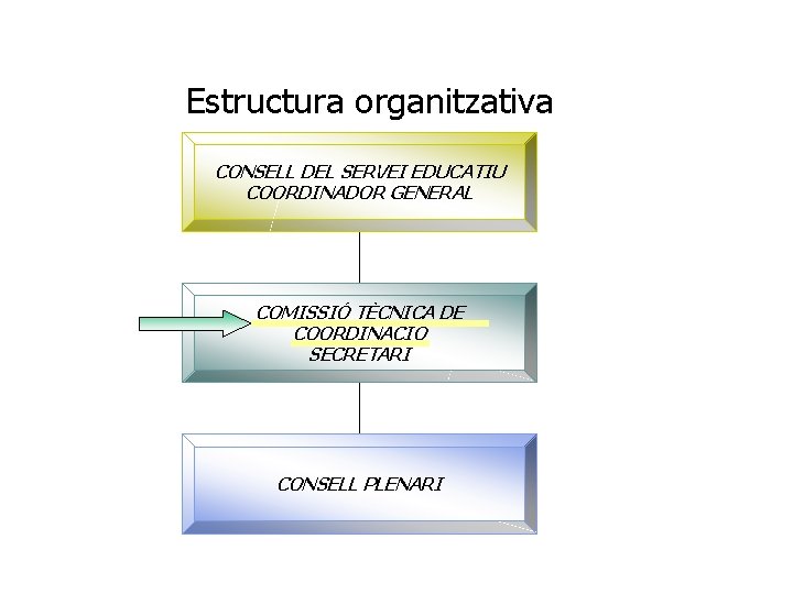 Estructura organitzativa CONSELL DEL SERVEI EDUCATIU COORDINADOR GENERAL COMISSIÓ TÈCNICA DE COORDINACIÓ SECRETARI CONSELL