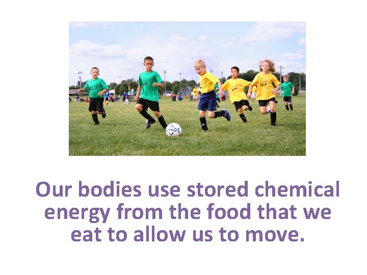 Our bodies use stored chemical energy from the food that we eat to allow