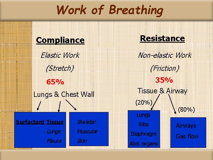 Work of Breathing Compliance Resistance Elastic Work Non-elastic Work (Stretch) (Friction) 65% Lungs &
