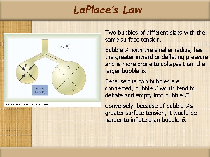 La. Place’s Law Two bubbles of different sizes with the same surface tension. Bubble