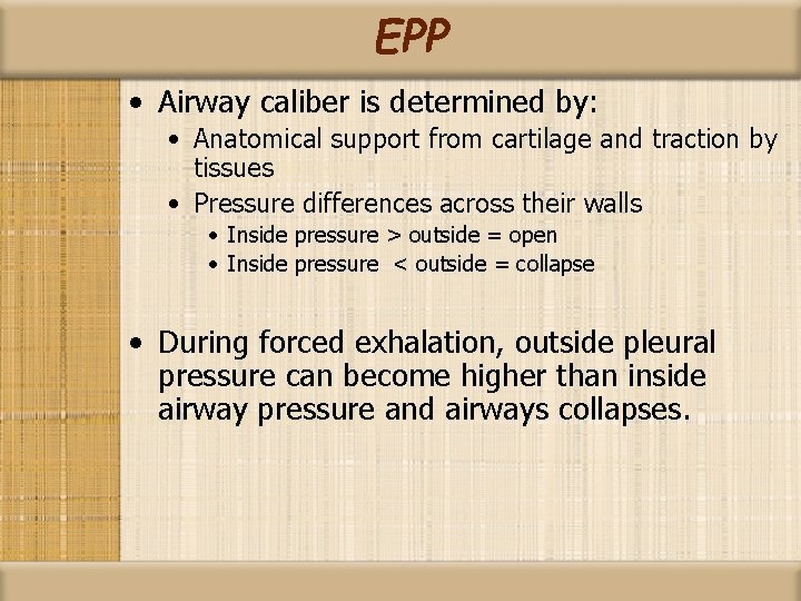 EPP • Airway caliber is determined by: • Anatomical support from cartilage and traction