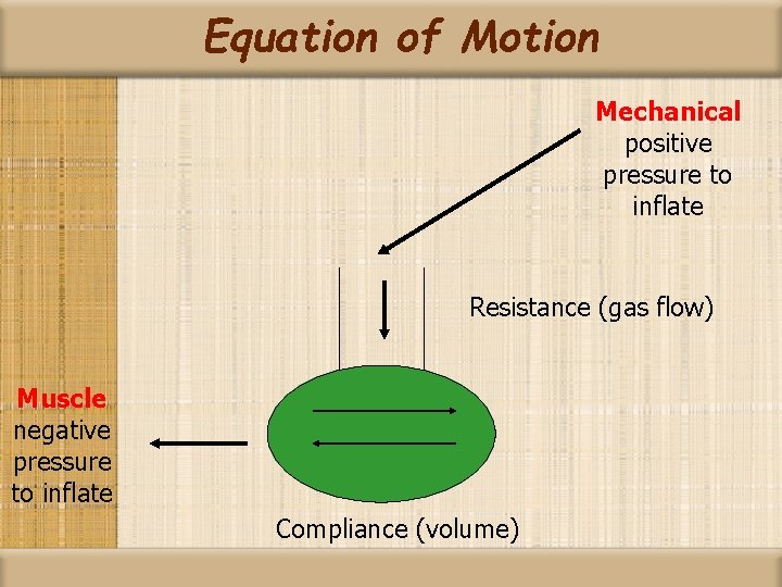 Equation of Motion Mechanical positive pressure to inflate Resistance (gas flow) Muscle negative pressure