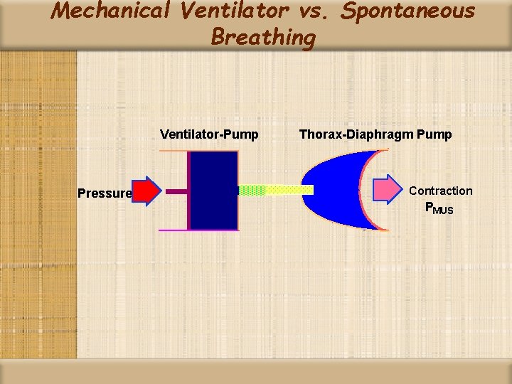 Mechanical Ventilator vs. Spontaneous Breathing Ventilator-Pump Pressure Thorax-Diaphragm Pump Contraction PMUS 