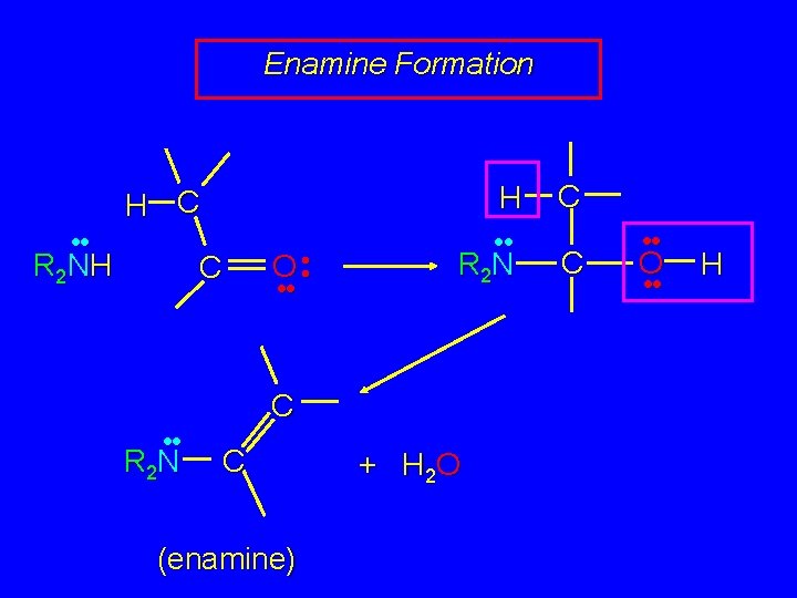 Enamine Formation H H C • • R 2 N H C O • Enamine Formation H H C • • R 2 N H C O •