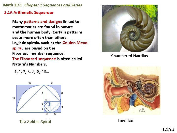 Math 20 -1 Chapter 1 Sequences and Series 1. 1 A Arithmetic Sequences Many